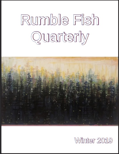 rumble fish novel